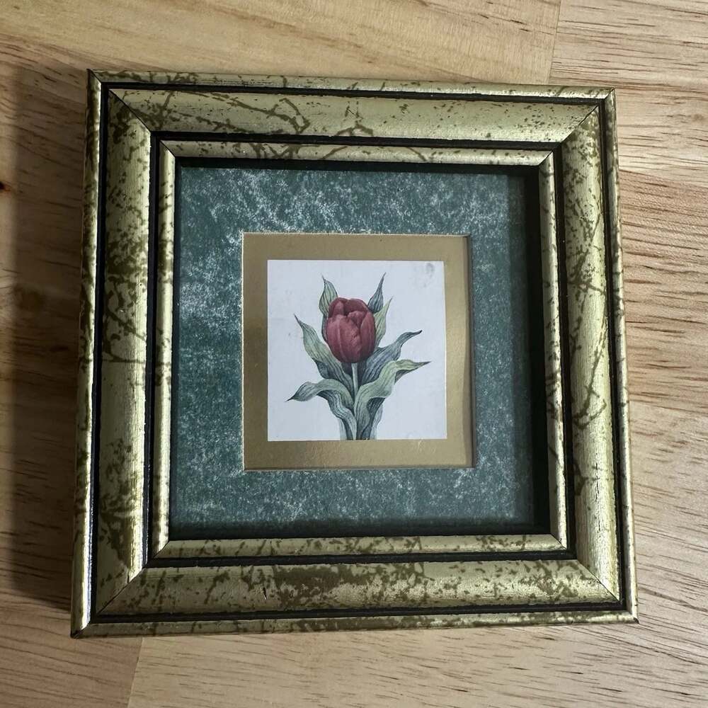 Pretty Petal Collectibles Tulip Floral Framed Print Heartfelt Collection